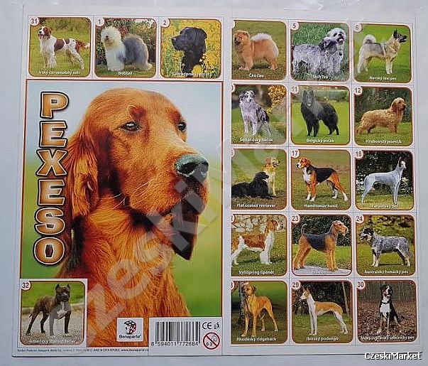 Pexeso pekseso - Psy - różne rasy - memo pies