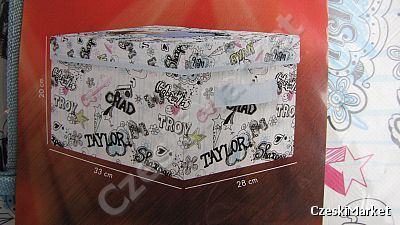 High School Musical - Zac Efron -  dekoracyjne pudełko