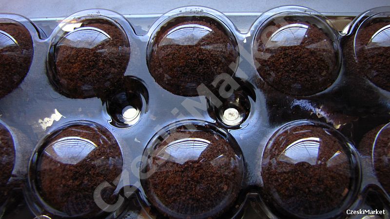 10 kulek Marlenka kakaowo - miodowa w formie kulek - oryginalna - eleganckie kulki miodowe z kakao - 10 sztuk - klasa jakości "A"