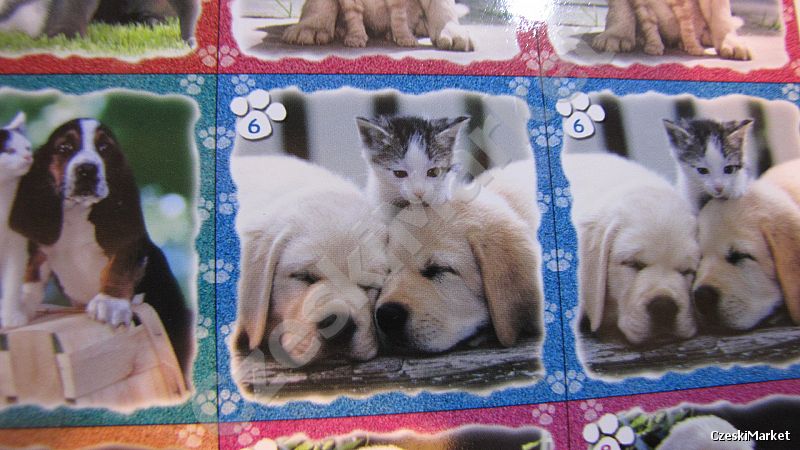 Pexeso - Mali przyjaciele - kotki i psy  - memo