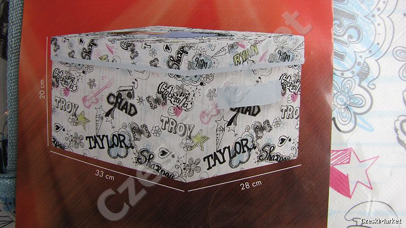 High School Musical - Zac Efron -  pudełko, pojemnik, kufer z przykrywką